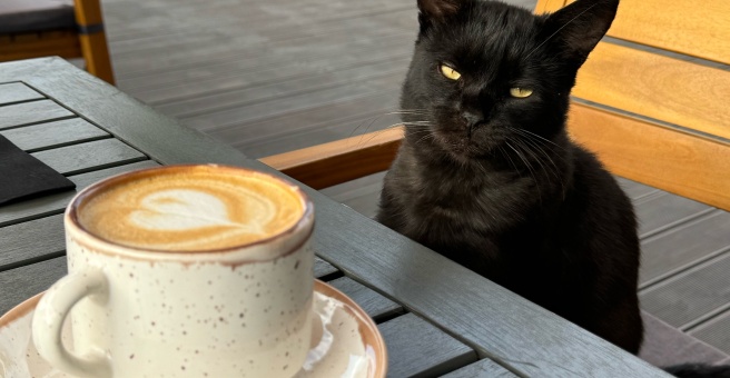 Stories coffee, кофейня
