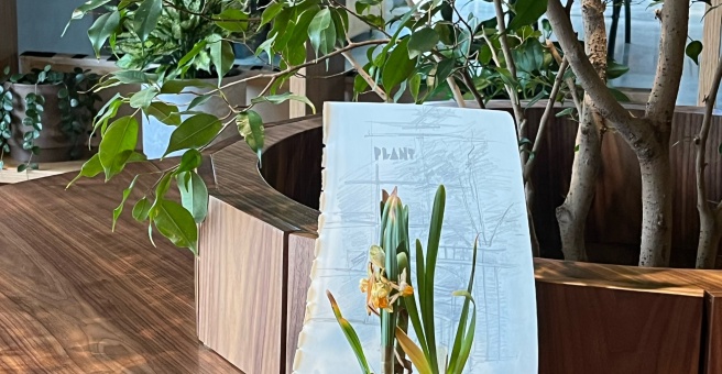 Plant, кофейня